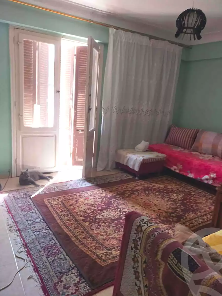 https://aqarmap.com.eg/ar/listing/7217313-for-sale-alexandria-al-agamy-lbytsh-qased-kareem-st