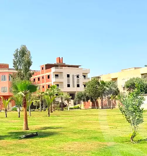 https://aqarmap.com.eg/ar/listing/7219064-for-sale-cairo-6th-of-october-garb-someed-neighborhood-14th-el-nabatat-st