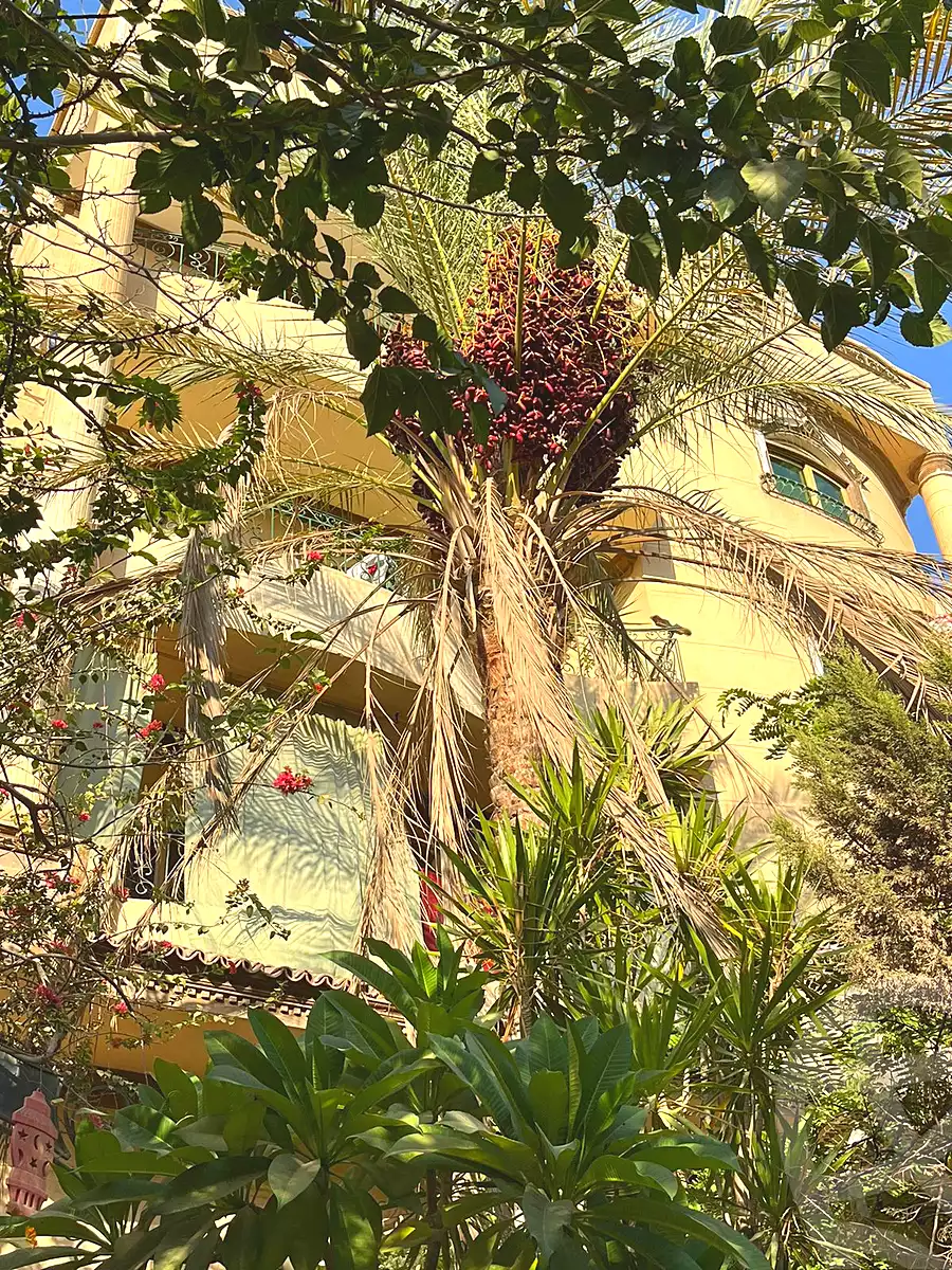 https://aqarmap.com.eg/en/listing/7219728-for-sale-cairo-6th-of-october-el-ahyaa-neighborhood-1st-sixth-neighborhood