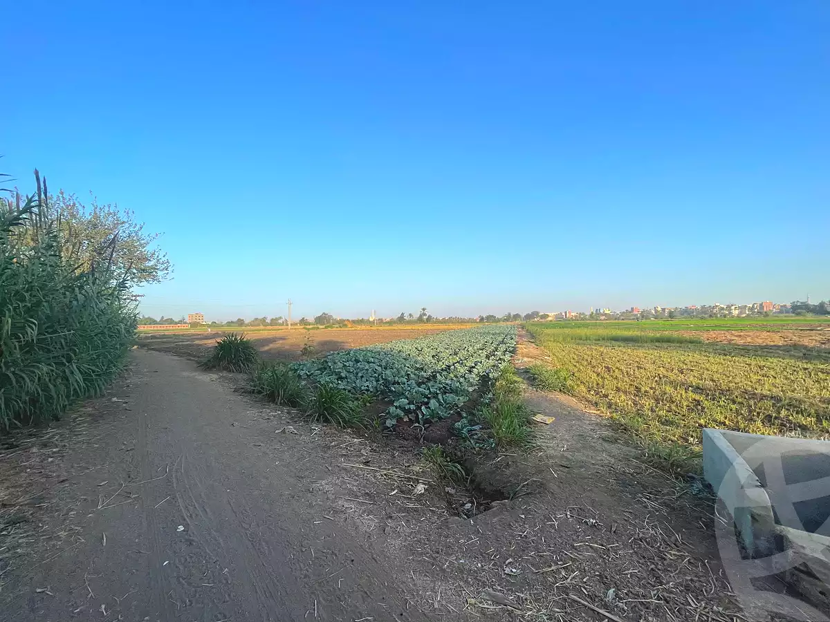 https://aqarmap.com.eg/en/listing/7049475-for-sale-dakahlia-mit-ghamr-met-el-korashi