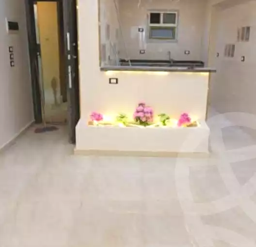 https://aqarmap.com.eg/en/listing/7222669-for-sale-cairo-elnozha-Streettt-27