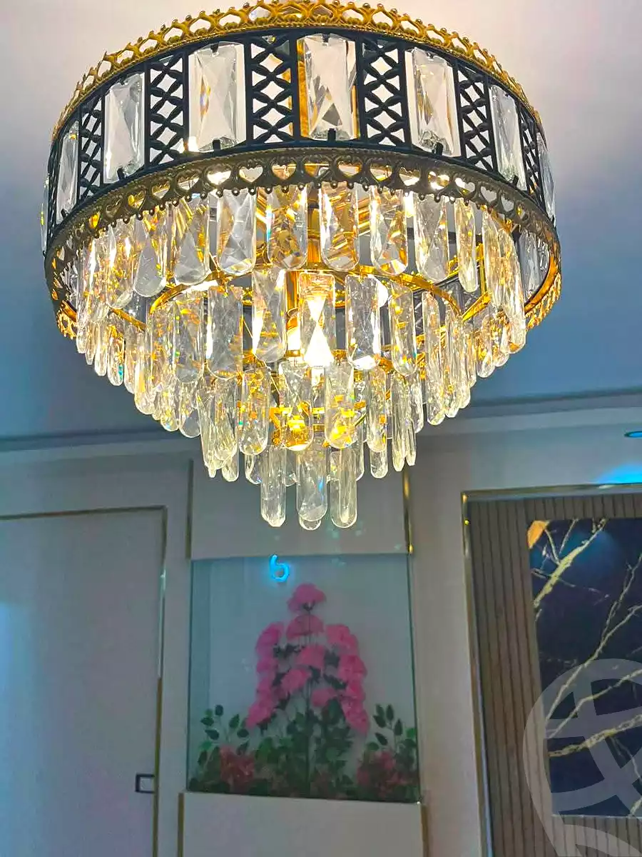 https://aqarmap.com.eg/en/listing/7225523-for-sale-cairo-ain-shams