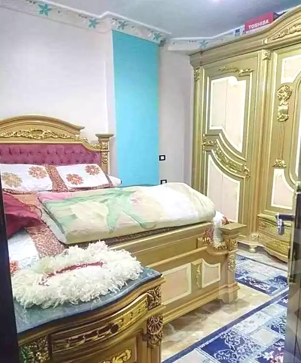 https://aqarmap.com.eg/en/listing/7226478-for-sale-cairo-el-haram-el-lebeny