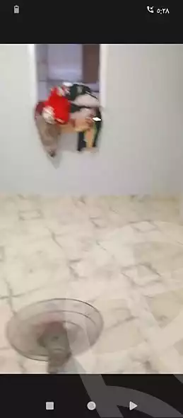 https://aqarmap.com.eg/ar/listing/7230329-for-sale-alexandria-sydy-bshr-sydy-bshr-qbly