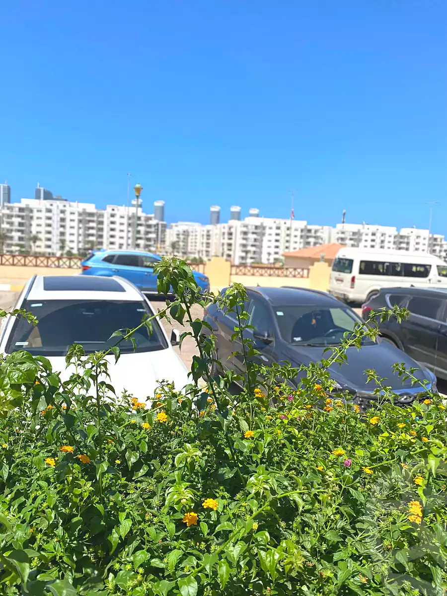 https://aqarmap.com.eg/ar/listing/7230553-for-sale-north-coast-resorts-stella-marina