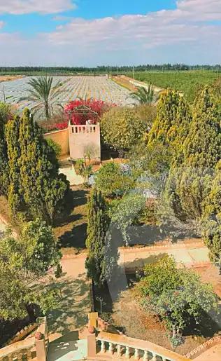 https://aqarmap.com.eg/ar/listing/7232581-for-sale-monufia-tanbul-rd