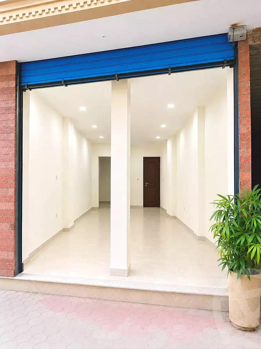 https://aqarmap.com.eg/en/listing/7235889-for-rent-cairo-manial