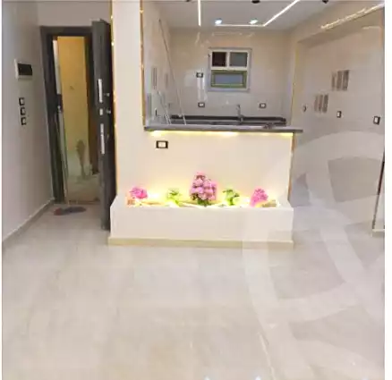 https://aqarmap.com.eg/ar/listing/7236570-for-sale-cairo-elnozha-Streettt-27