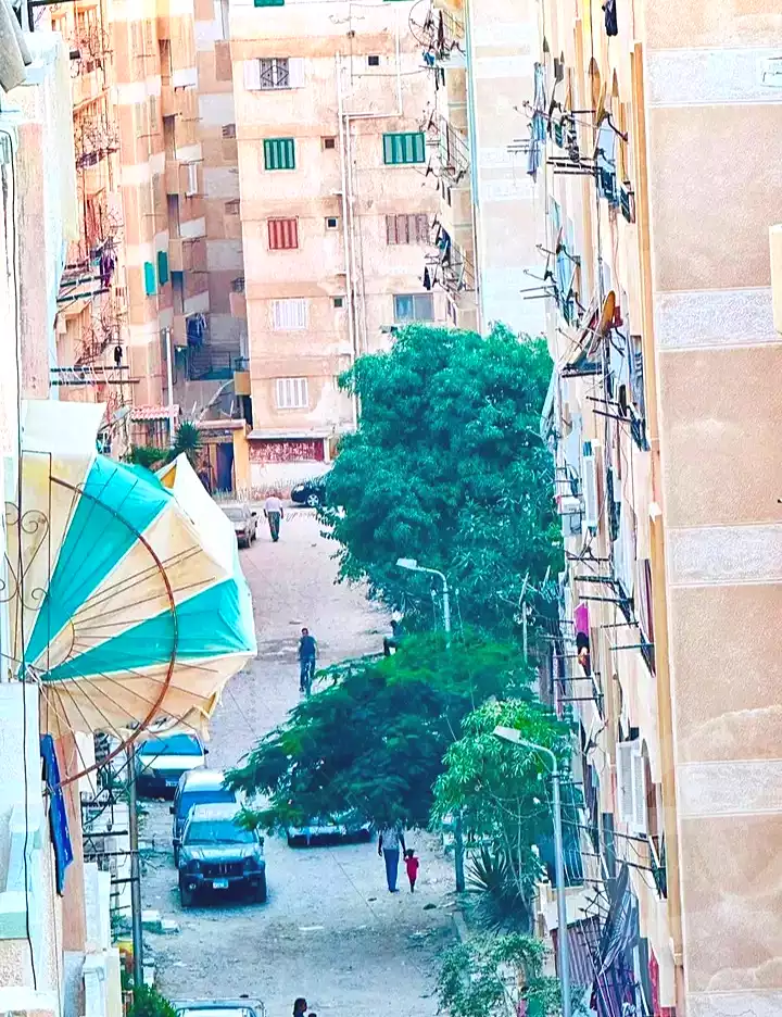 https://aqarmap.com.eg/en/listing/7237185-for-sale-alexandria-al-agamy-shataa-el-nakheel