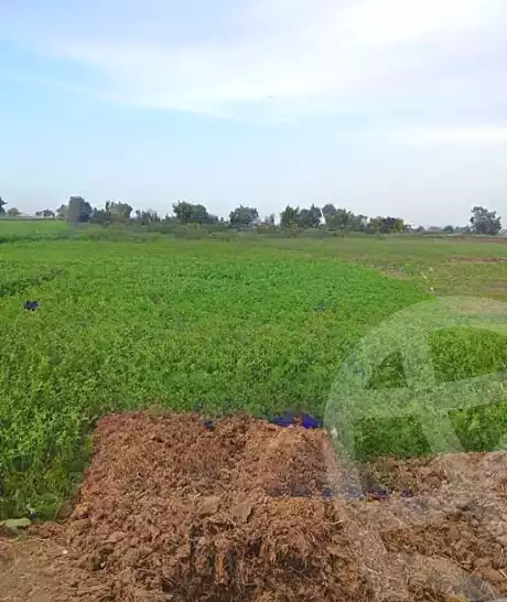 https://aqarmap.com.eg/en/listing/7237582-for-sale-cairo-bashtil