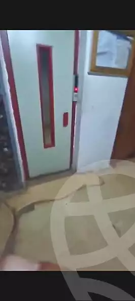https://aqarmap.com.eg/ar/listing/7239457-for-sale-alexandria-miami-mohammed-galal-hammad-st