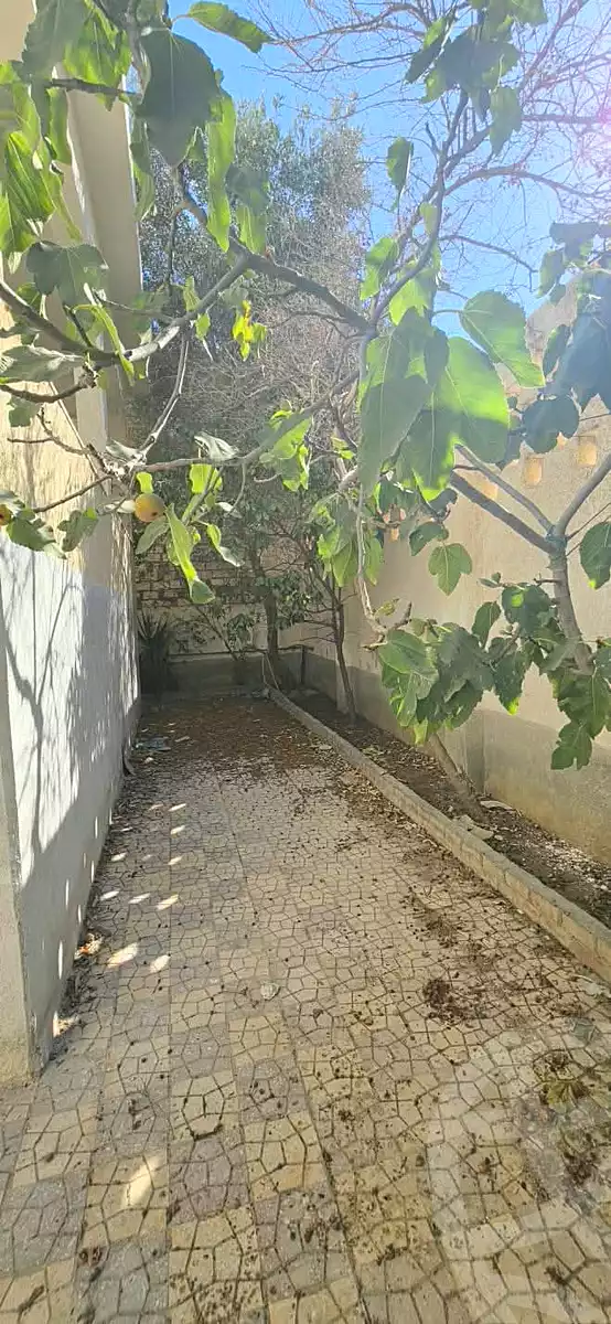 https://aqarmap.com.eg/en/listing/7239774-for-sale-alexandria-abu-talat