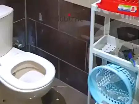https://aqarmap.com.eg/en/listing/7240286-for-rent-cairo-manial