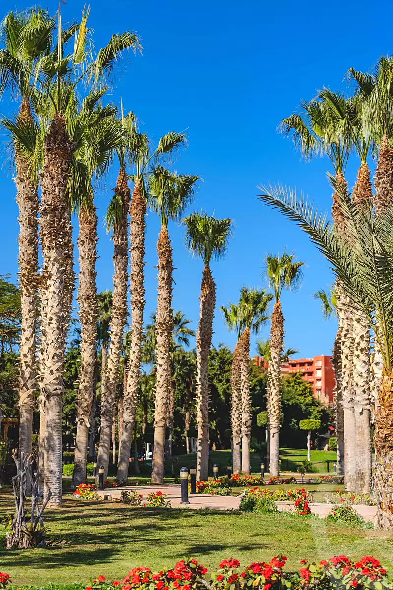 https://aqarmap.com.eg/ar/listing/7240917-for-sale-north-coast-resorts-porto-golf-marina