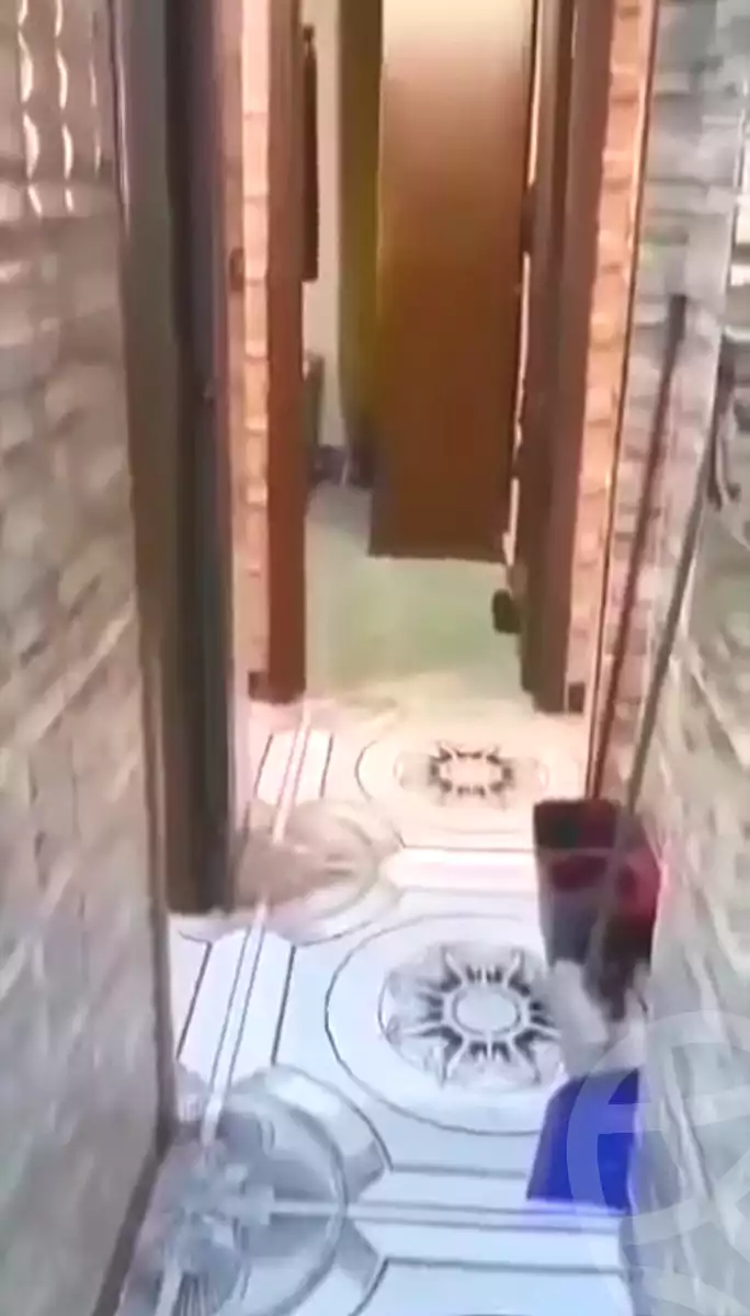 https://aqarmap.com.eg/en/listing/7241365-for-sale-cairo-ain-shams-ahmed-esmat-st