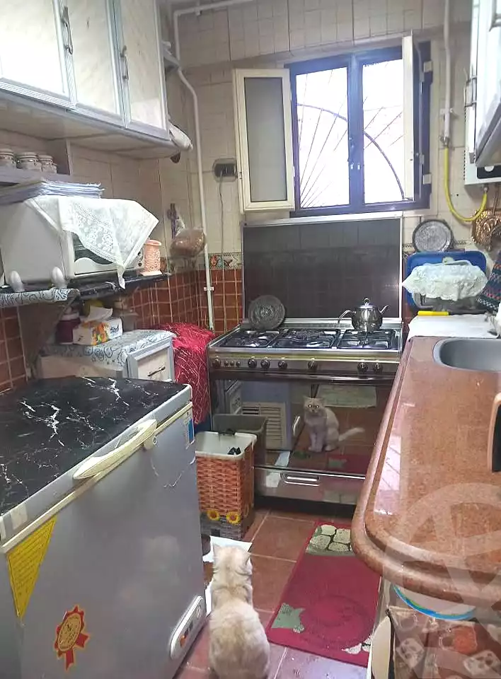 https://aqarmap.com.eg/ar/listing/7242374-for-sale-alexandria-alhadara-new-el-hadra