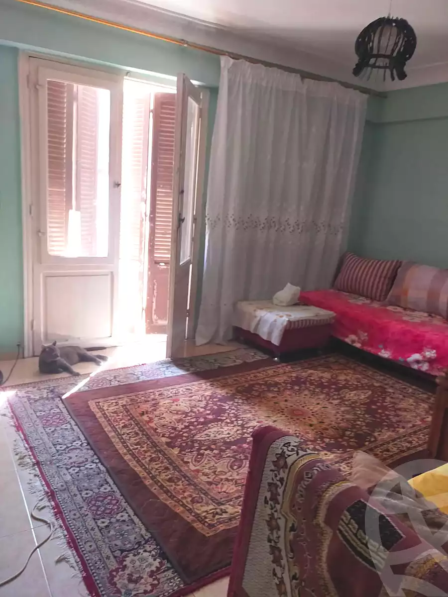 https://aqarmap.com.eg/en/listing/7242634-for-sale-alexandria-al-agamy-lbytsh-qased-kareem-st
