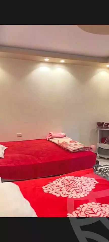 https://aqarmap.com.eg/en/listing/7243135-for-rent-cairo-faisal