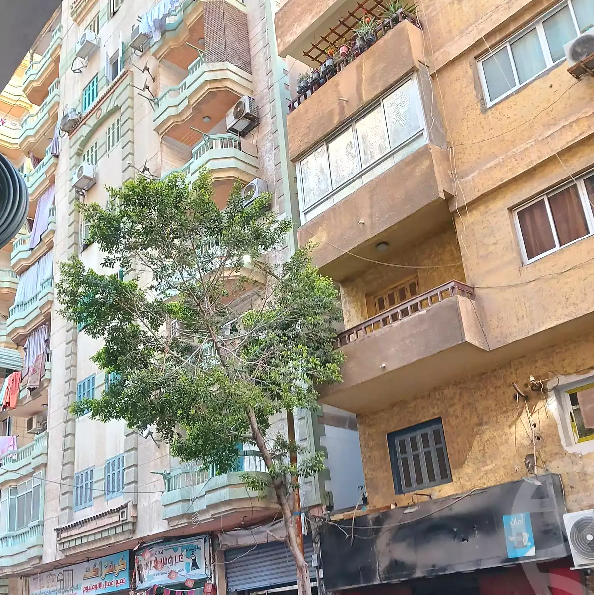 https://aqarmap.com.eg/en/listing/7243279-for-sale-alexandria-el-mandara