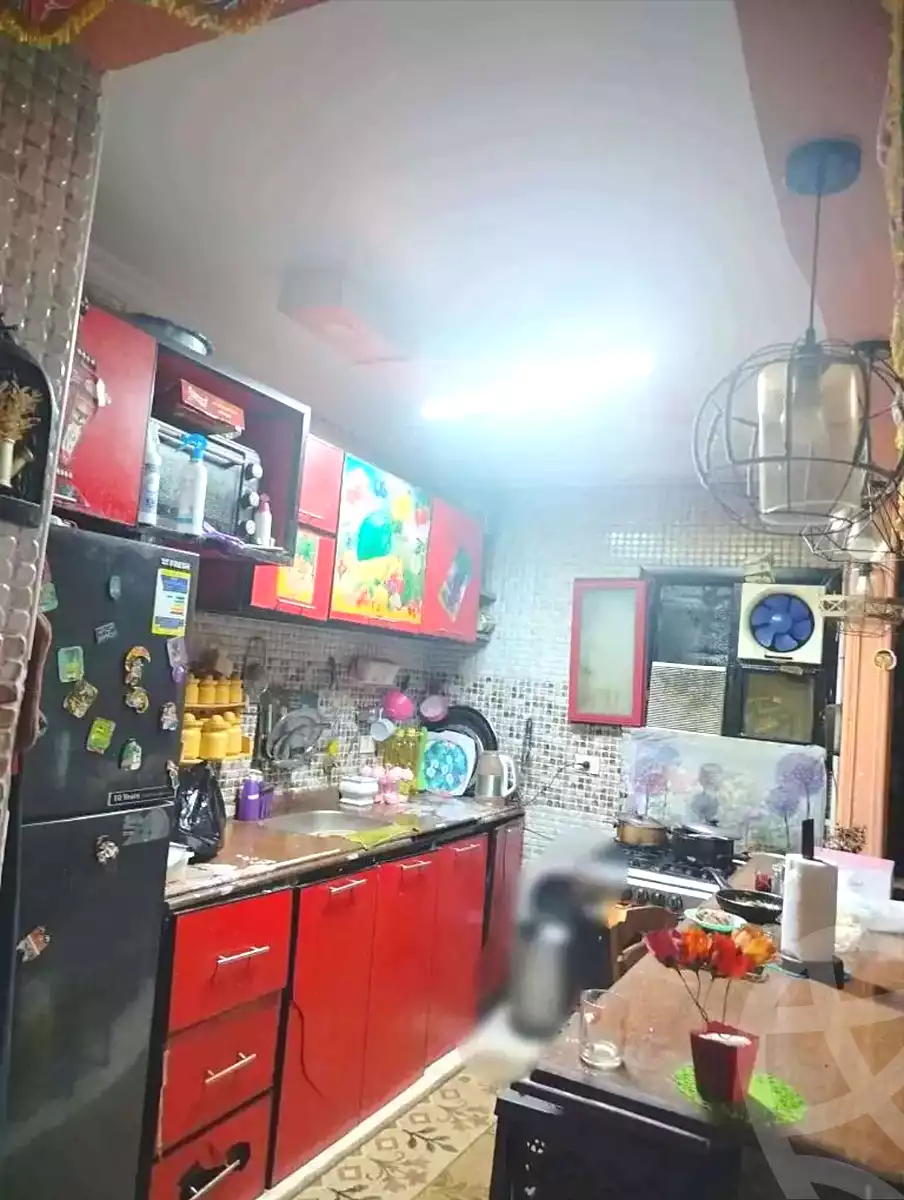 https://aqarmap.com.eg/en/listing/7245067-for-sale-alexandria-al-agamy-lbytsh-bianchiii-el-bashwat-st