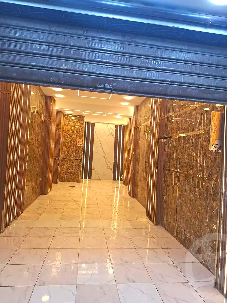 https://aqarmap.com.eg/en/listing/7247017-for-rent-alexandria-bakoos-cinema-layla-st