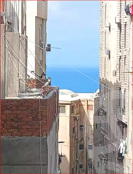https://aqarmap.com.eg/ar/listing/7249653-for-sale-alexandria-el-mandara-alex-el-mandara-bahri-sidi-kamal-st