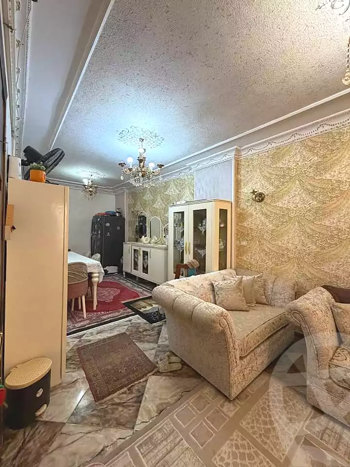 https://aqarmap.com.eg/en/listing/7252737-for-sale-alexandria-el-mandara-nabawy-al-mohandes-st