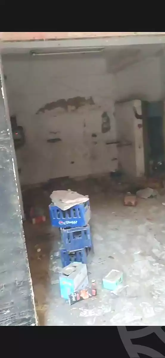 https://aqarmap.com.eg/en/listing/7254674-for-rent-cairo-faisal