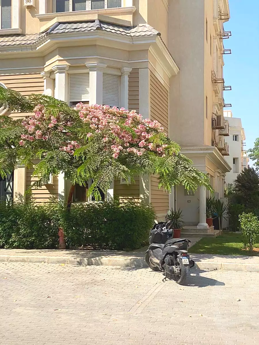 فيلا في ماونتن فيو أكتوبر بارك، صورة ٦ من ٦