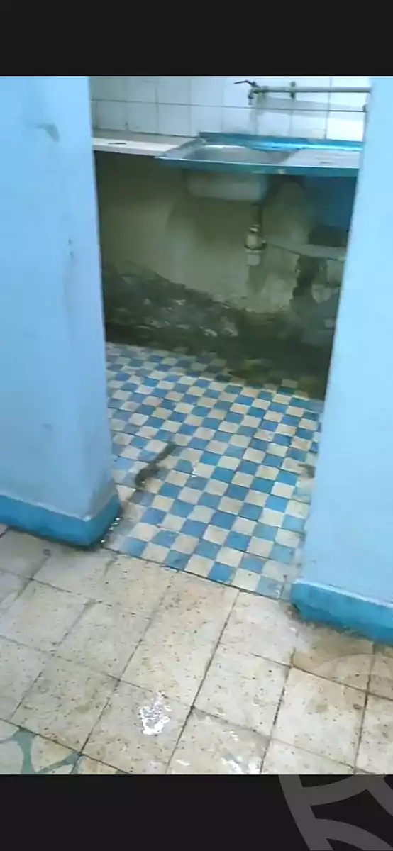 https://aqarmap.com.eg/ar/listing/7256163-for-sale-cairo-faisal-awel-faisal