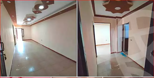 https://aqarmap.com.eg/en/listing/7257858-for-rent-alexandria-lsywf-el-falki