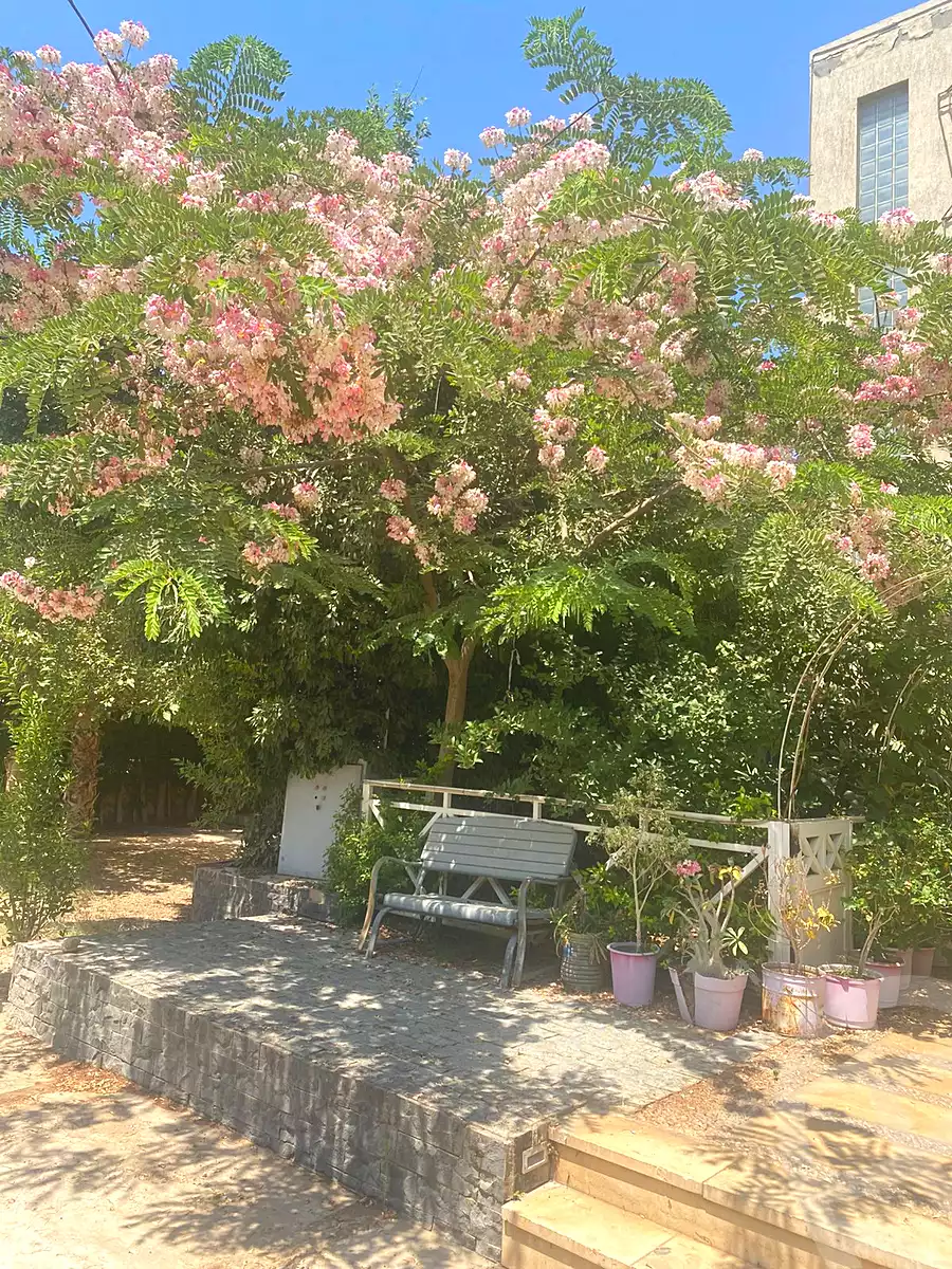 https://aqarmap.com.eg/en/listing/7258083-for-sale-cairo-el-mansuriyyah-el-saliba