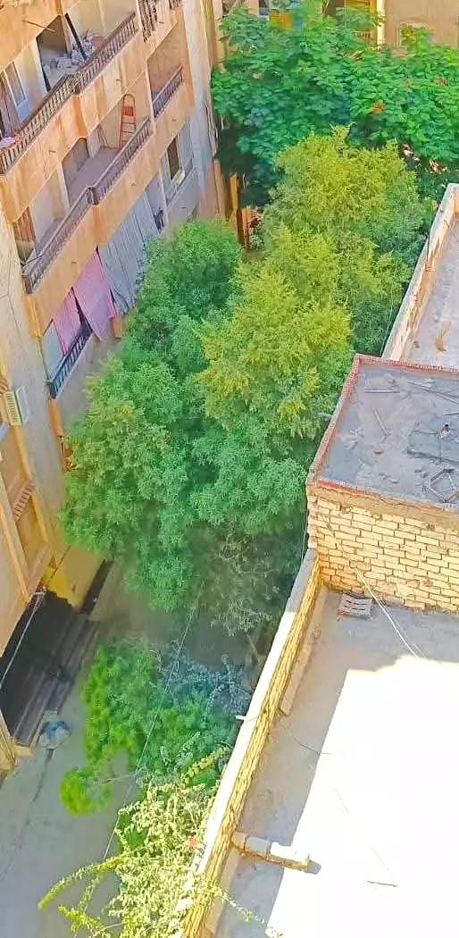 https://aqarmap.com.eg/en/listing/7259127-for-sale-alexandria-al-agamy-lbytsh-el-hanafeya-st