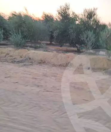 https://aqarmap.com.eg/en/listing/7261846-for-sale-beheira-wadi-el-natrun