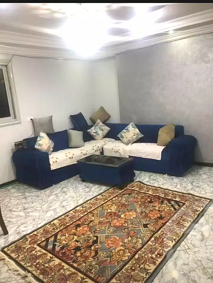 https://aqarmap.com.eg/en/listing/7262021-for-sale-cairo-el-haram-shareaa-naser-el-thawrah