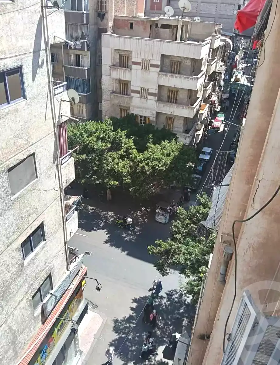 https://aqarmap.com.eg/en/listing/7265795-for-sale-alexandria-fyktwry-el-galaa-st