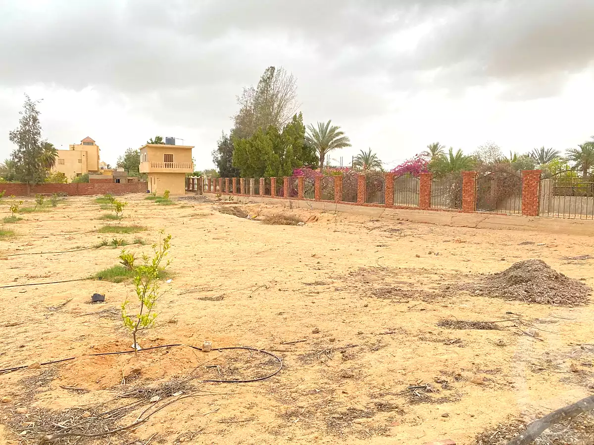 https://aqarmap.com.eg/ar/listing/7267354-for-sale-cairo-el-sheikh-zayed-city-lshykh-zyd-ljdyd-el-reef-el-oroby