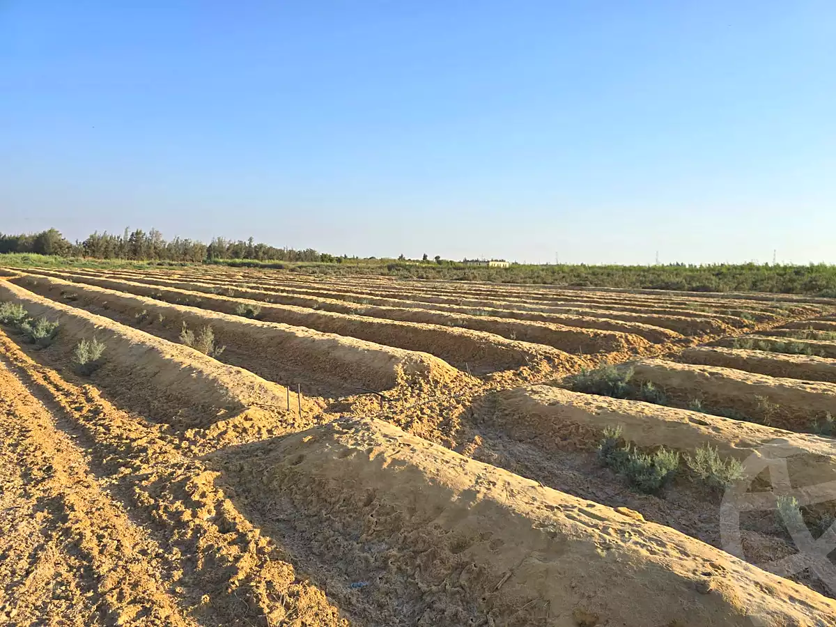 https://aqarmap.com.eg/en/listing/7267640-for-sale-beheira-wadi-el-natrun-el-safa-village-and-el-marwa