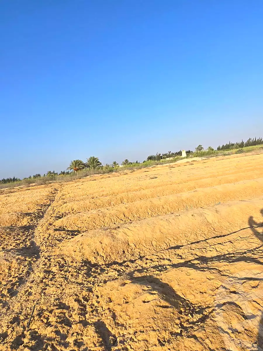 https://aqarmap.com.eg/en/listing/7267640-for-sale-beheira-wadi-el-natrun-el-safa-village-and-el-marwa