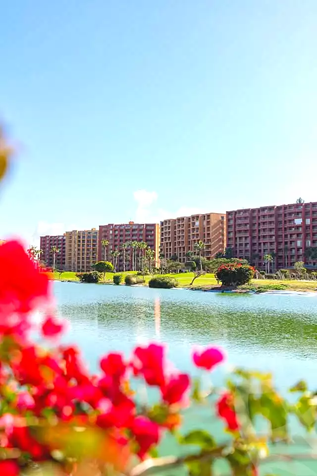 https://aqarmap.com.eg/en/listing/7270758-for-sale-north-coast-resorts-porto-golf-marina