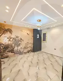 https://aqarmap.com.eg/en/listing/7271353-for-sale-cairo-faisal-el-lebeny