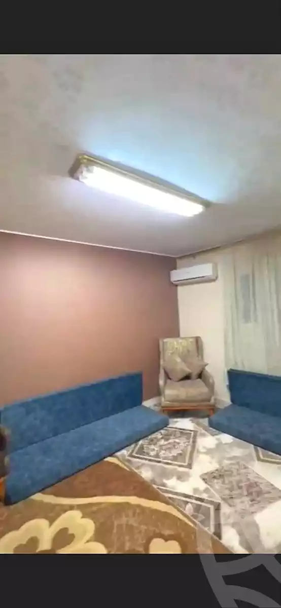 https://aqarmap.com.eg/en/listing/7273482-for-sale-cairo-ain-shams