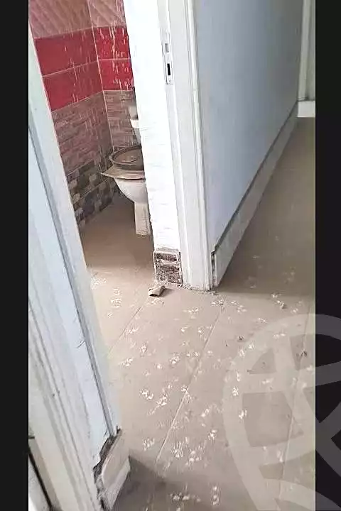 https://aqarmap.com.eg/ar/listing/7274776-for-sale-cairo-nasr-city-9th-zone-emad-hamdi-st