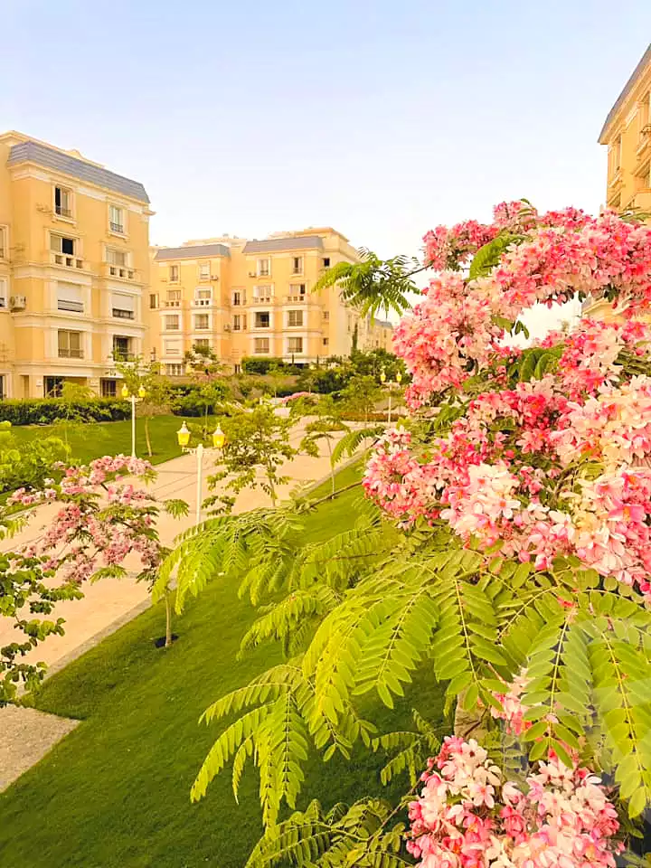 https://aqarmap.com.eg/ar/listing/7277238-for-sale-cairo-new-cairo-compounds-mountain-view1-1-compound