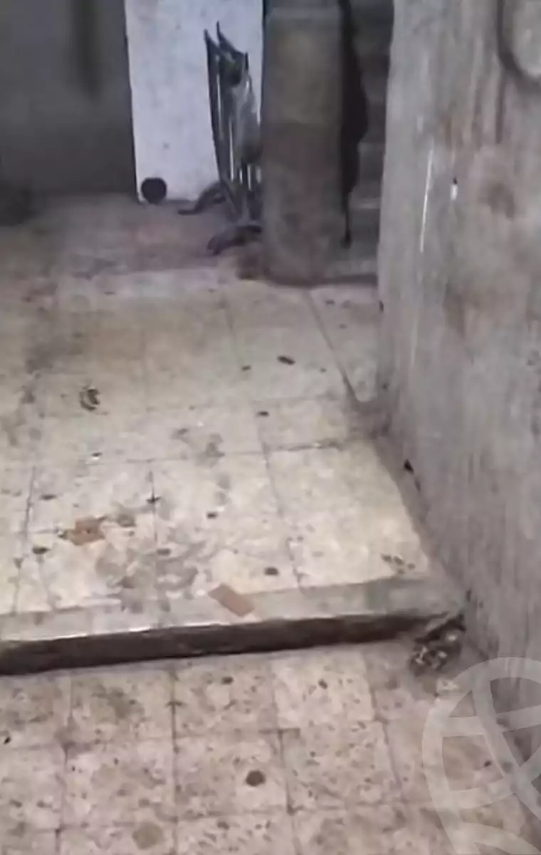 https://aqarmap.com.eg/en/listing/7278943-for-sale-cairo-el-haram-shareaa-el-talateny