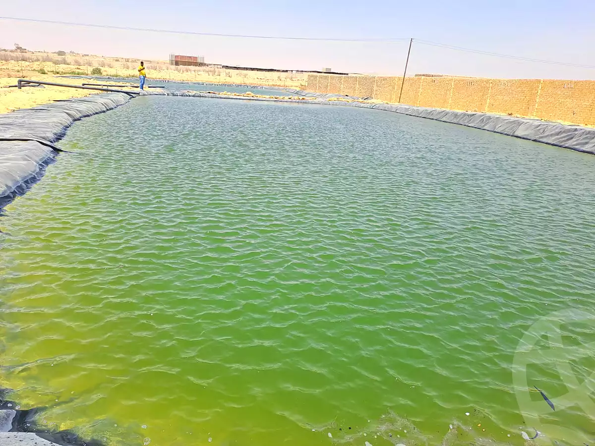 https://aqarmap.com.eg/ar/listing/7280971-for-sale-el-fayoum-tamiya-moshat-el-doktour-el-gamal