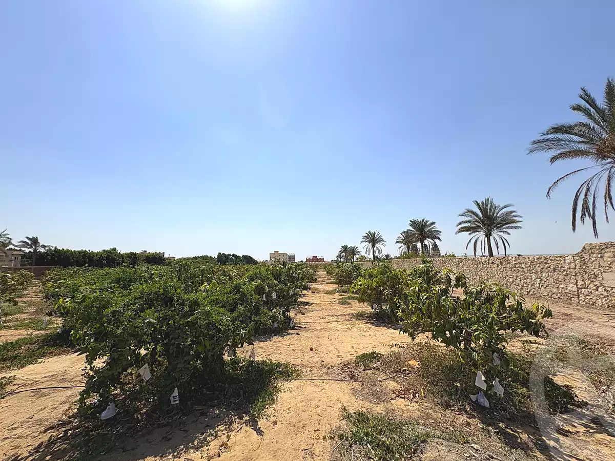 https://aqarmap.com.eg/ar/listing/7275622-for-sale-cairo-al-oubour-jm-y-rby-kht-4-jnwb