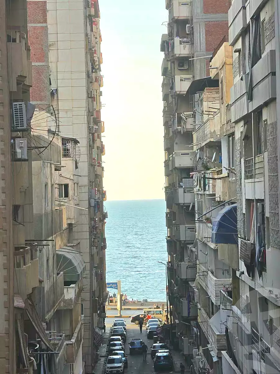 https://aqarmap.com.eg/en/listing/7285145-for-sale-alexandria-el-asafra-l-sfr-bhry