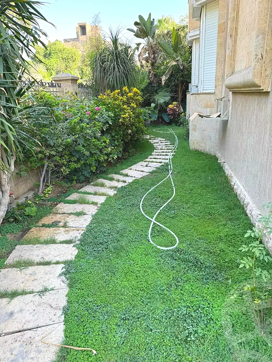 https://aqarmap.com.eg/en/listing/7285616-for-rent-cairo-el-maadi-degla-street-206
