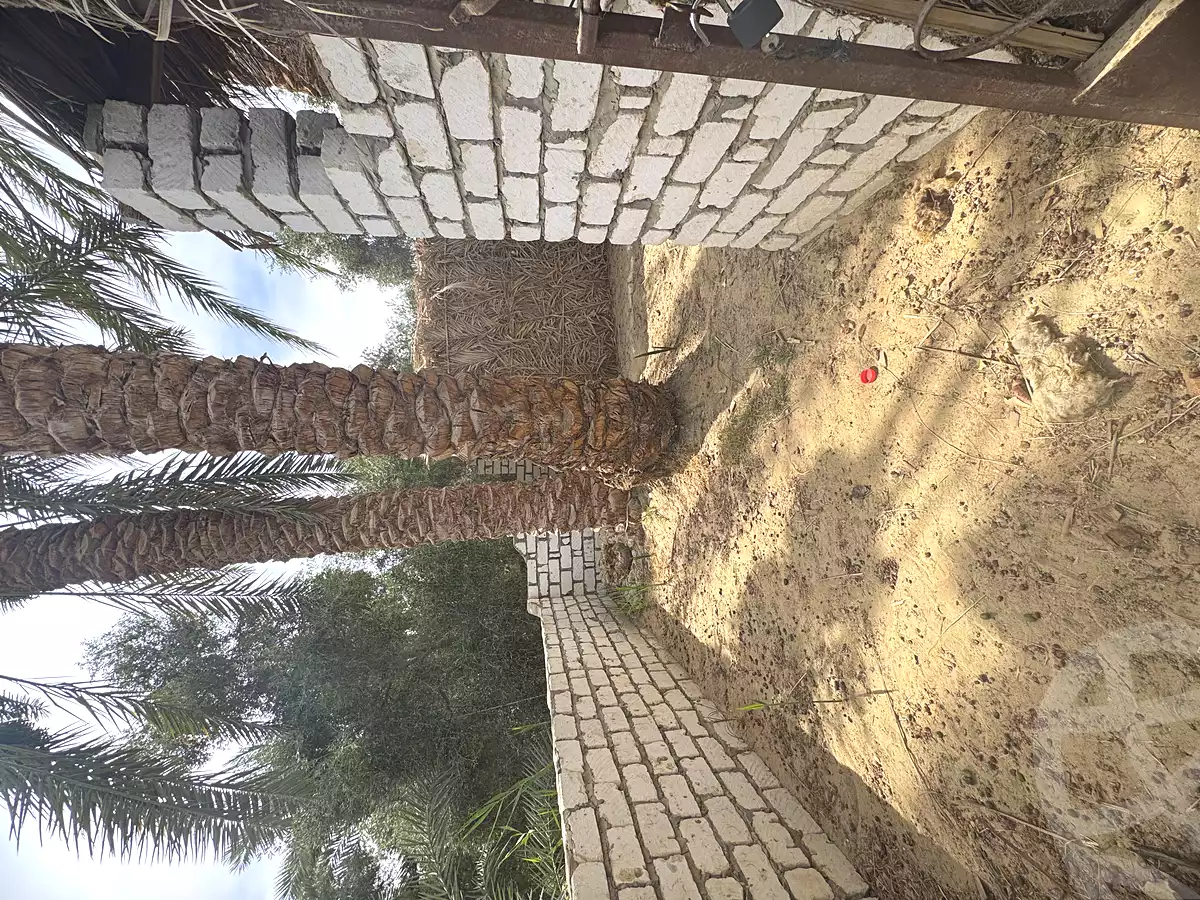 https://aqarmap.com.eg/en/listing/7285602-for-sale-marsa-matruh-siwa-oasis-wahet-siwaa-city